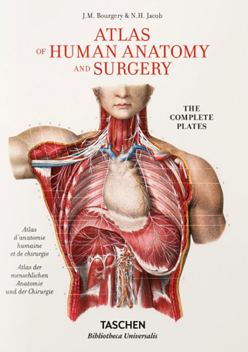 Atlas of Human Anatomy and Surgery