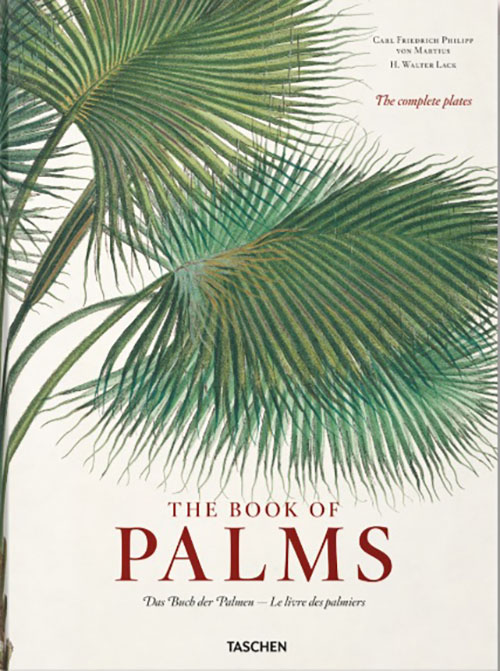 Martius - The Book of Palms