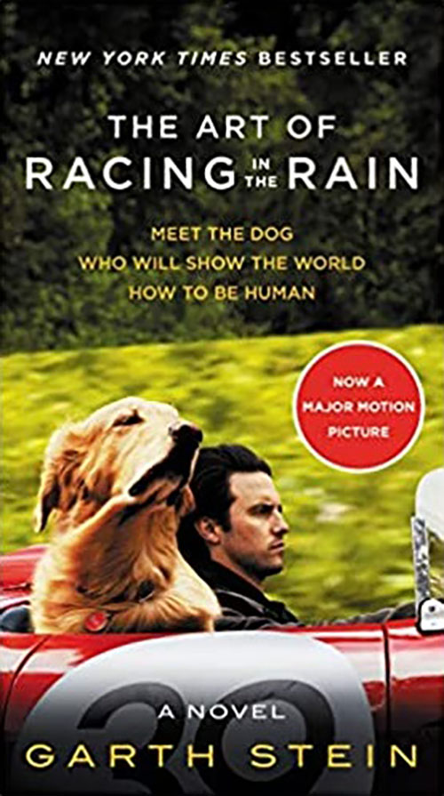 The Art of Racing in the Rain Movie Tie-in Edition: A Novel