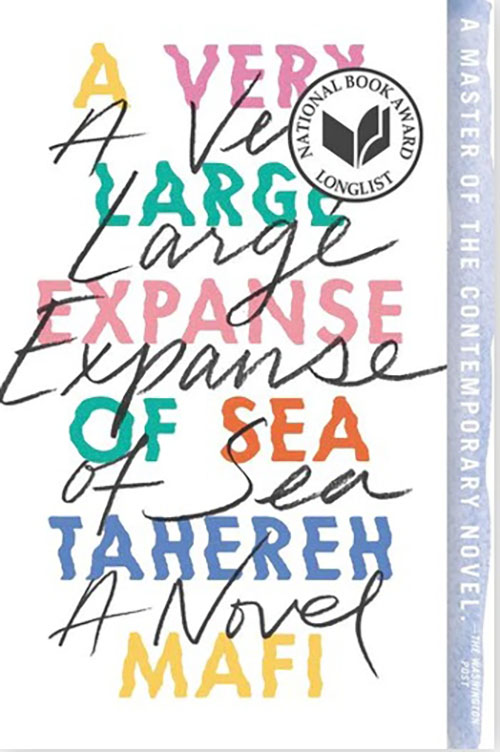 A Very Large Expanse of Sea