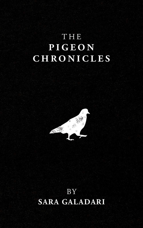 The Pigeon Chronicles