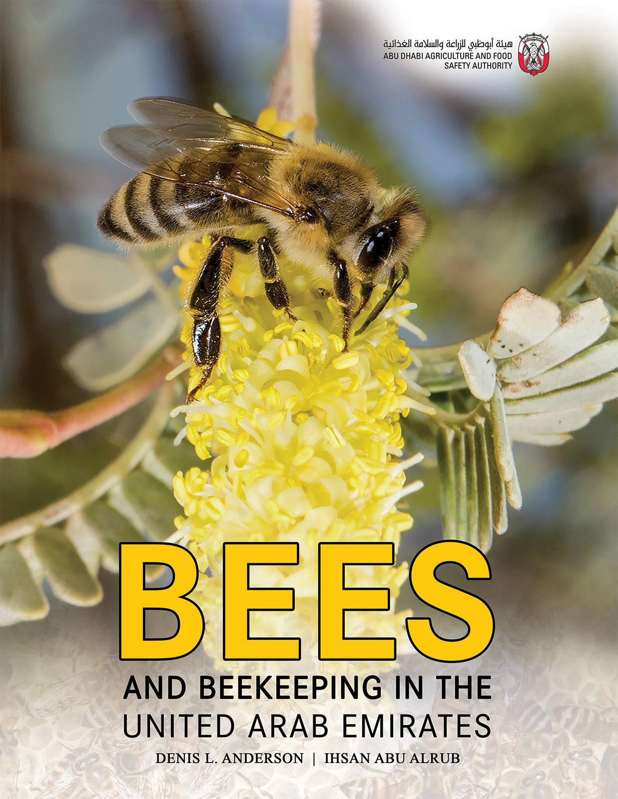 Bees And Beekeeping In The United Arab Emirates