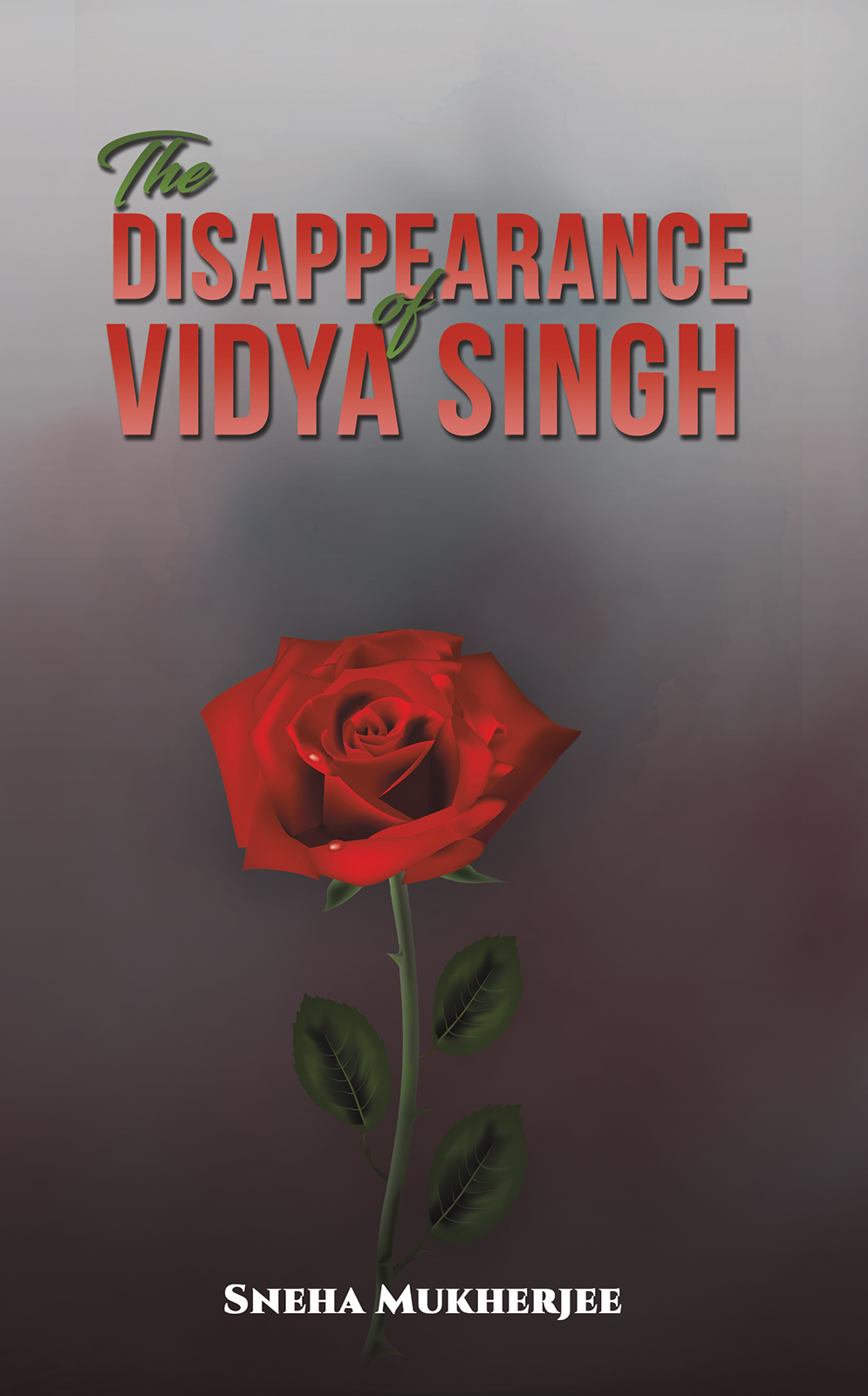 The Disappearance Of Vidya Singh