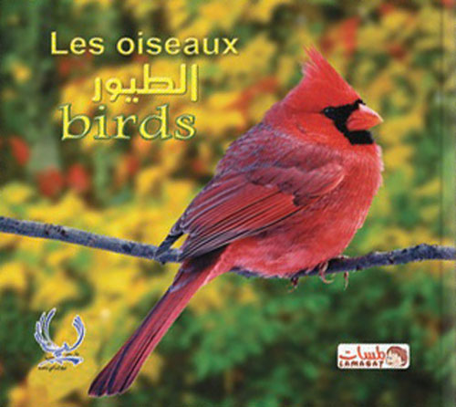 الطيور "Birds" - "les oiseaux"