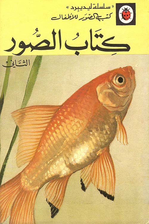 كتاب الصور الثاني