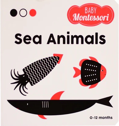 Sea Animals