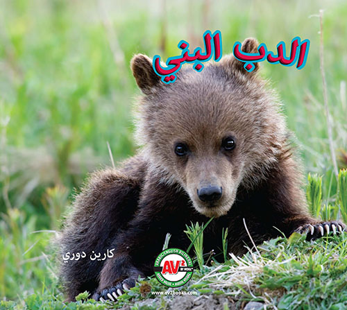 الدب البني