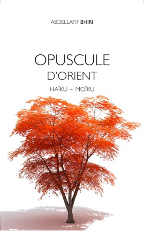 Opuscule D