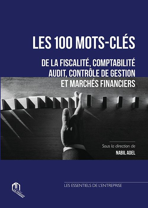 Les 100 Mots-Clés De La Fiscalité, Comptabilité, Aidit, Controle De Gestion Et Marchés Financiers