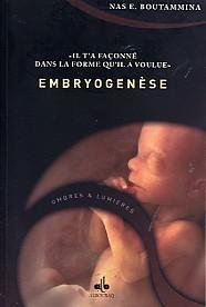 Embryogenèse Il T