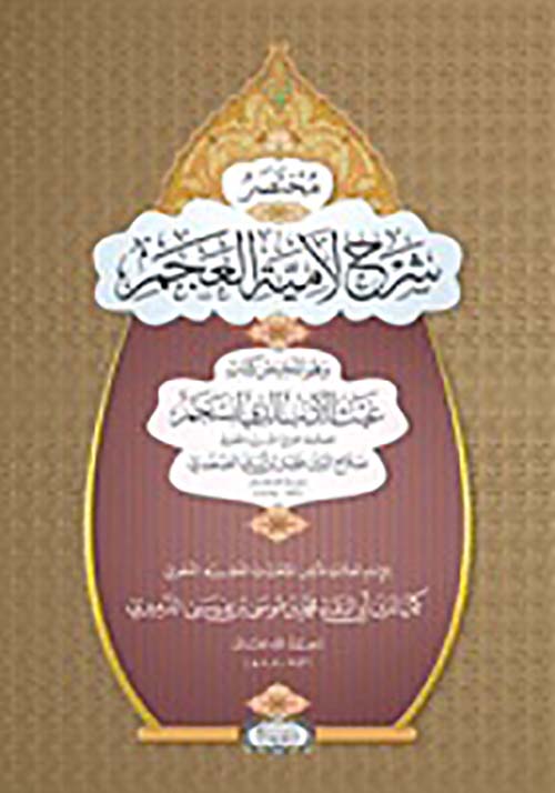 مختصر شرح لامية العجم ؛ وهو تلخيص كتاب غيث الأدب الذي انسجم - لونان