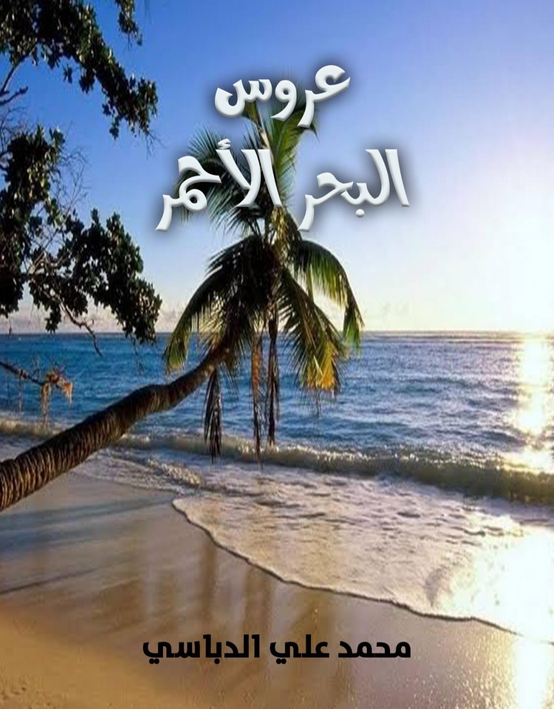 عروس البحر الأحمر